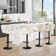 Swivel Adjustable Height Modern Bar& Counter Stool(Set Of 4)