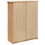 12 Pair Shoe Storage Cabinet