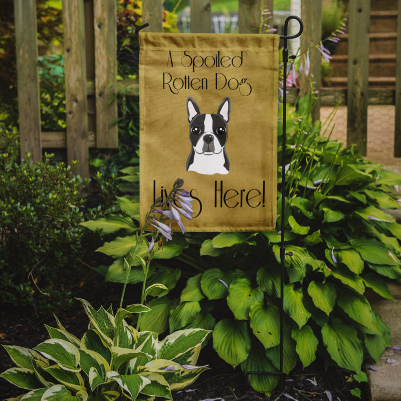 Drapeau de jardin à 2 côtés pour chien en vie, Boston-terrier