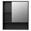 Wall Mounted Required Bathroom Cabinet
