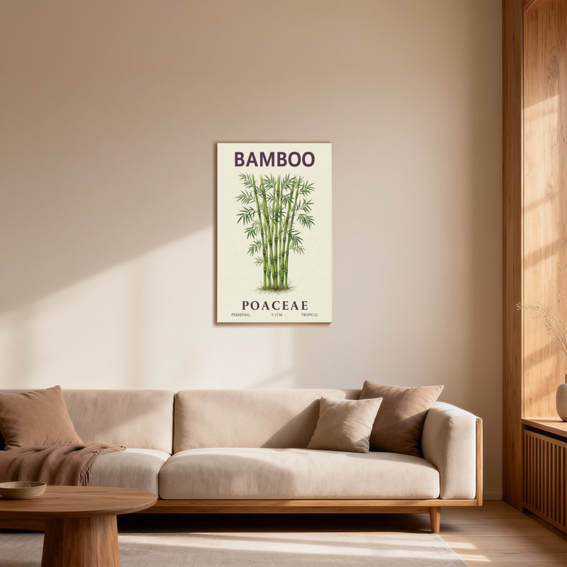 Plantes et fleurs, plante de bambou, illustration sur fond crème, H 20 po x l 30 po