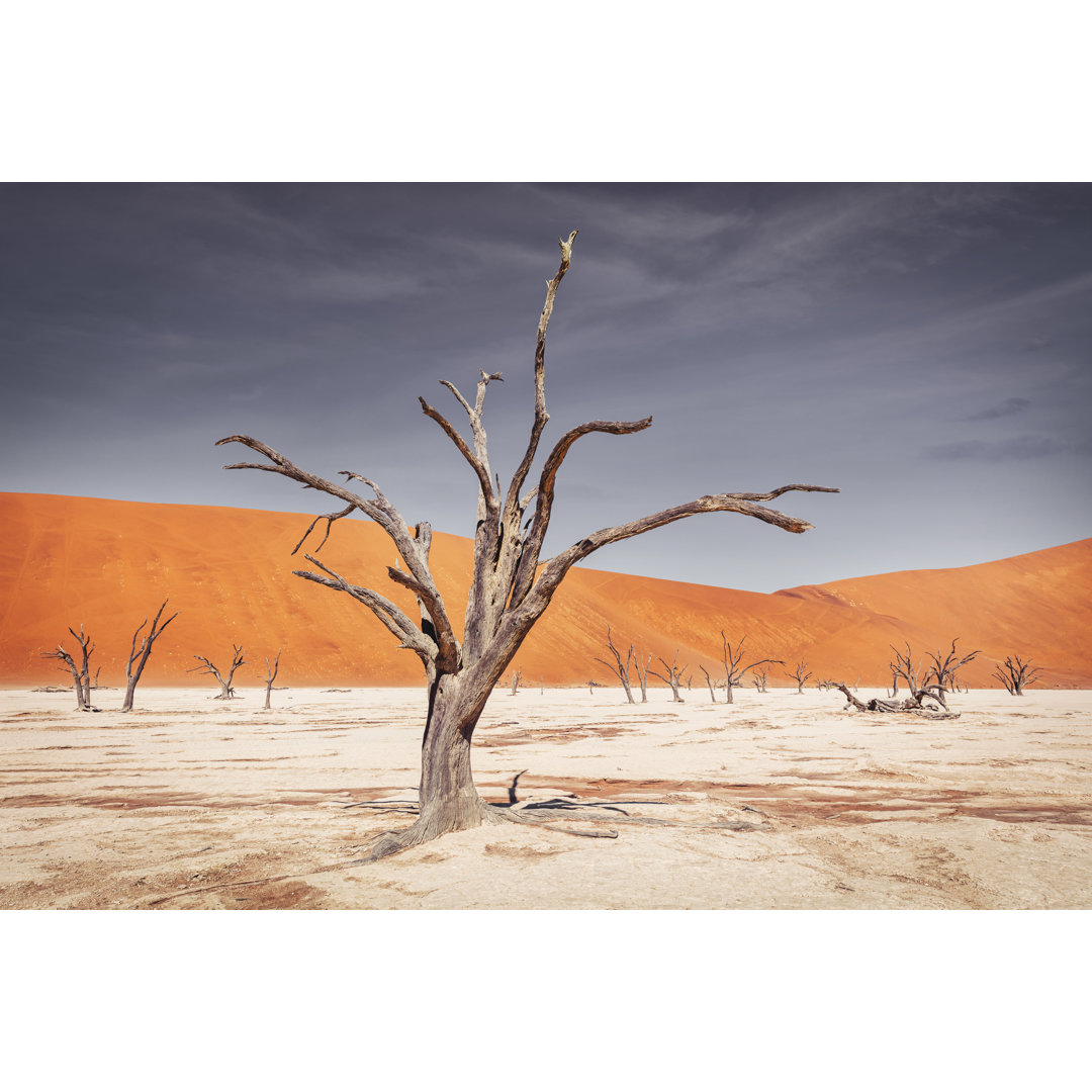 Dead Vlei Sossusvlei von Mlenny - Leinwandbild