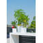 Outdoor White Fiberstone Pot