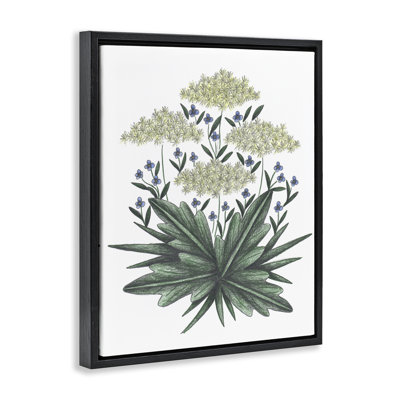 New Roots Vintage Sketch Floating Frame, design by Cecilia Battaini
