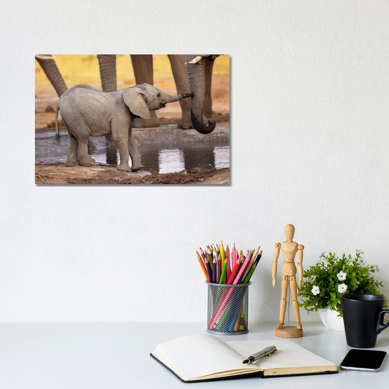 Play With Me, Please! by Alessandro Catta - Wrapped Canvas Painting, 20.32 cm H x 30.48 cm W x 1.91 cm D