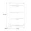 Vasbinder 6 Pair Shoe Storage Cabinet-280881726-300236267