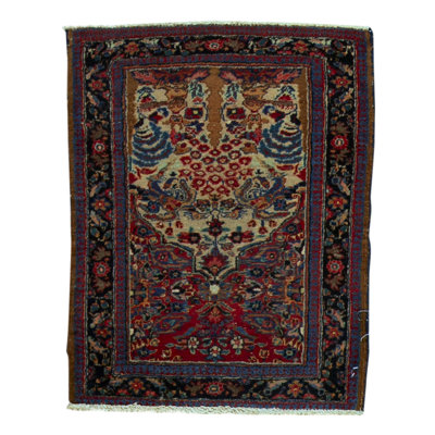 Wool Oriental Area Rug