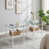 Transparent/White