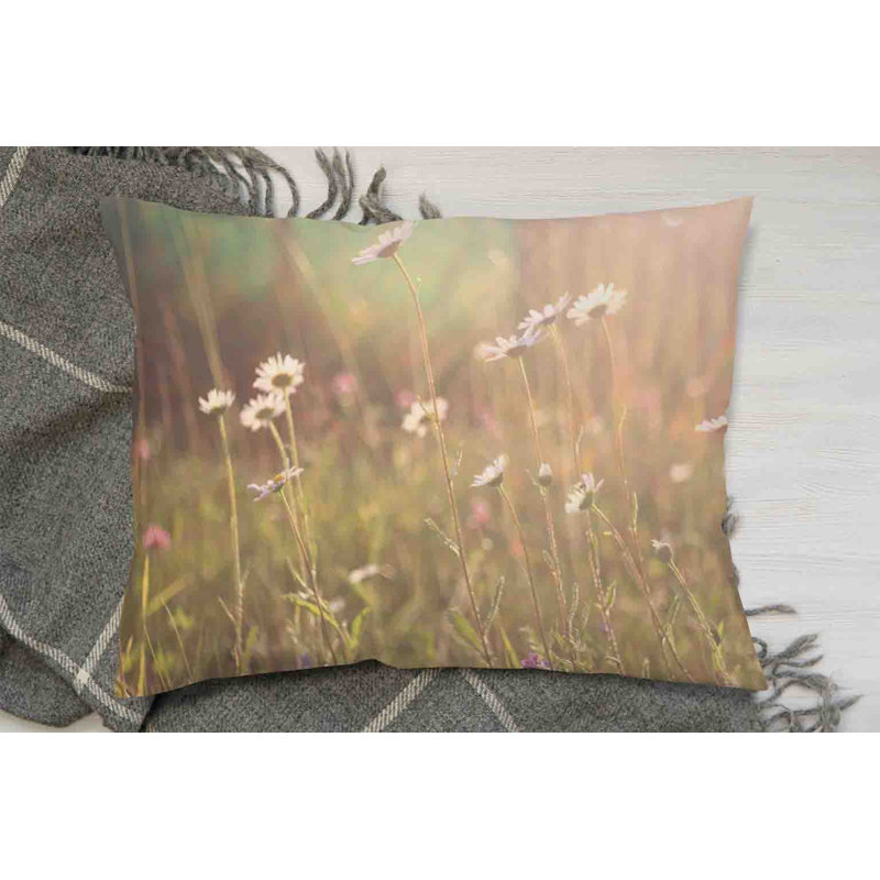Cushion