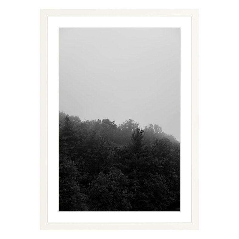 Landscape & Nature Print, White, 42" H x 28" W x 2.25" D