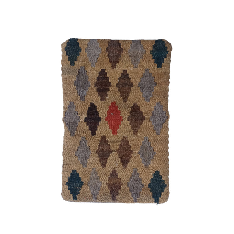 Christman Indoor / Outdoor Geometric Rectangular Cushion Cover