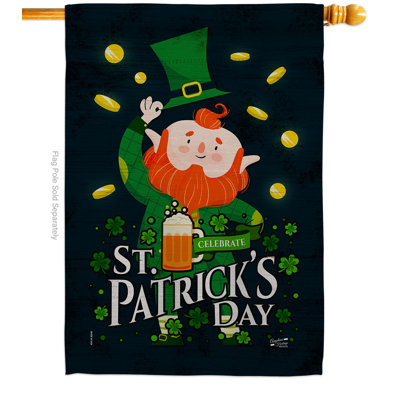 Alyaan Double Sided 40'' H x 28'' W Polyester St. Patrick's Day House Flag
