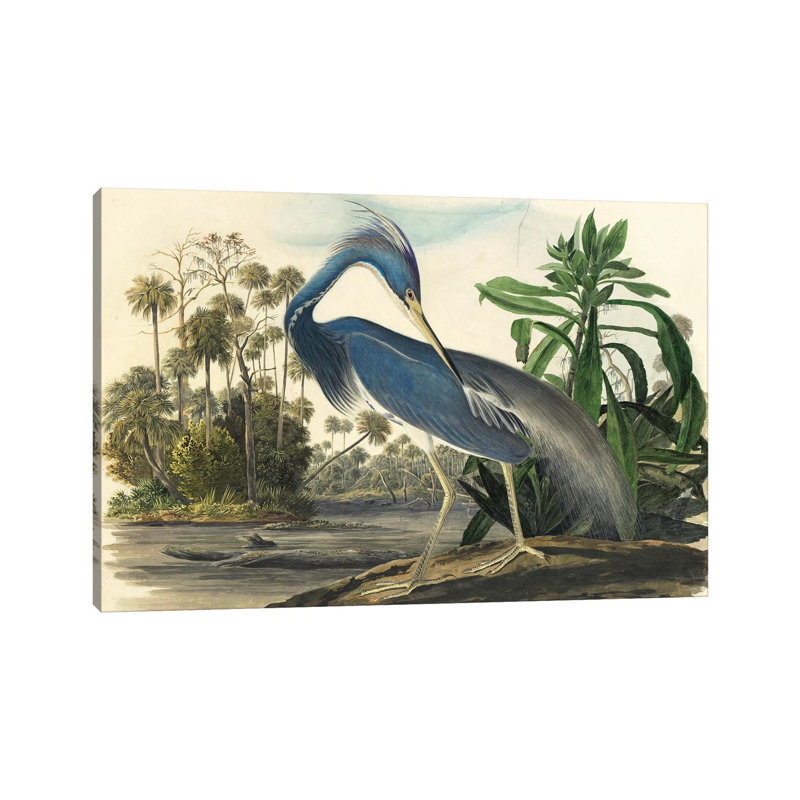 Blue Heron by Vintage Apple Collection - Wrapped Canvas Painting, 30.48 cm H x 45.72 cm W