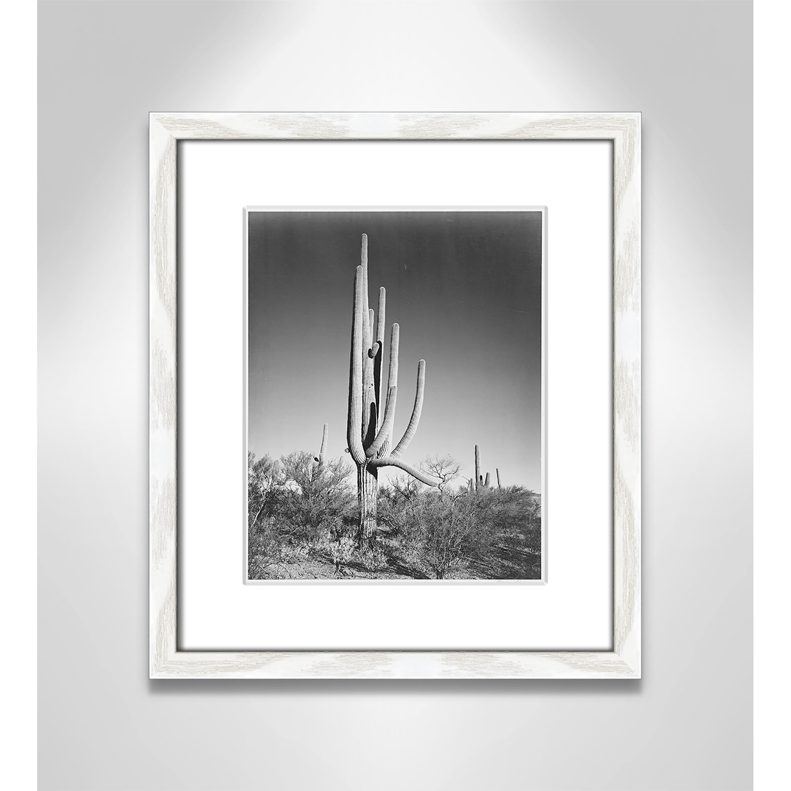 Saguaro National Monument Print by Ansel Adams, 15" H x 13" W x 0.75" D, White