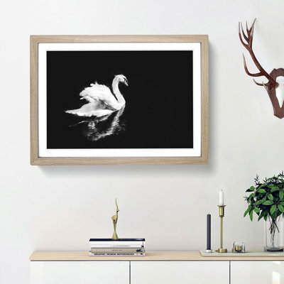 Swan - Picture Frame Painting Print