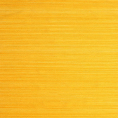 Indoor Rug
