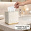 Ensemble d'accessoires de salle de bain Distributeur de savon Porte-brosse à dents Porte-savon Porte-savon