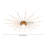 Nonnie 31 - Light Modern Linear Chandelier