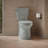 Betello 1.28 GPF (Water Efficient) Elongated Two-Piece Toilet (Seat Not Included)-44387724-39779929