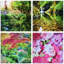 Art mural Haloke, chutes d'eau et Yarrows