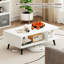 Coffee Table with Storage