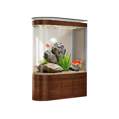 240-250 Gallon Acrylic Modern Eco Aquarium Tank