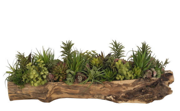 Succulent, Green Mauve, Wood Planter, 28wx10dx10h