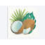 « coco palm v », reproduction sur toile tendue-27702588-72508175-72508180