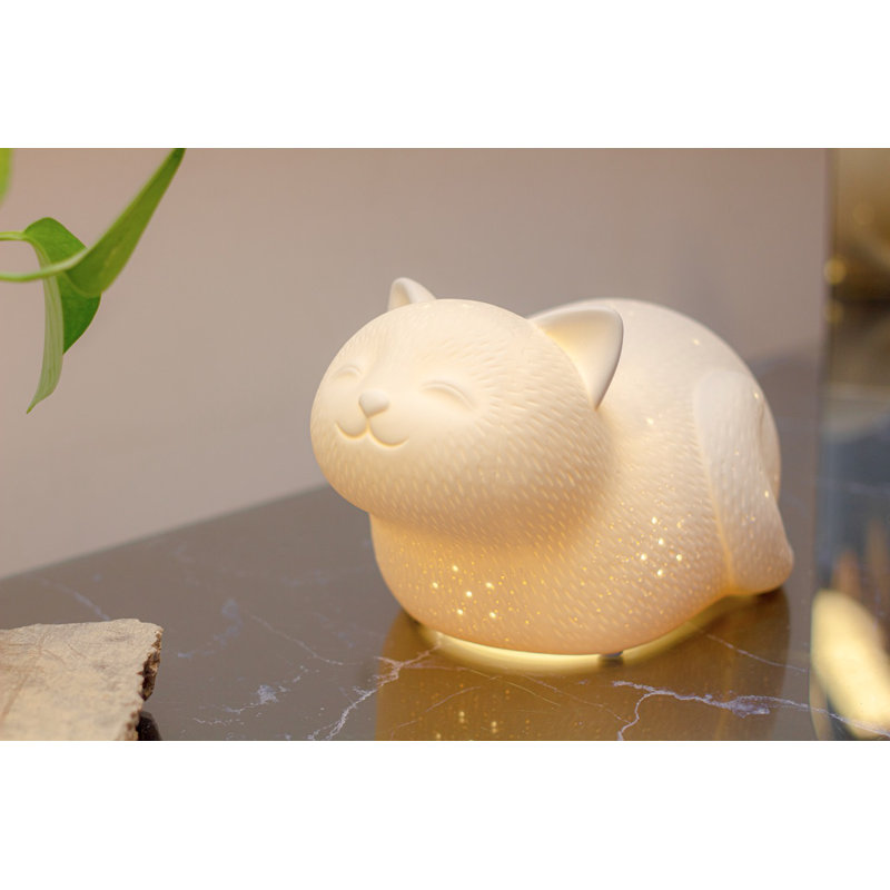 Novelty Lamp