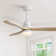 Kemp 52" 3 - Blade LED Modern Classic Ceiling Fan with Remote Control and Light Kit Included