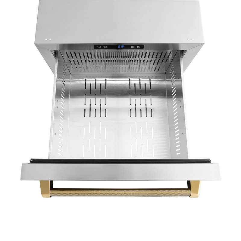 ZLINE Autograph 24 in. Touchstone Refrigerator Drawer with Steel Doors & Gold Helix Handles, Gold