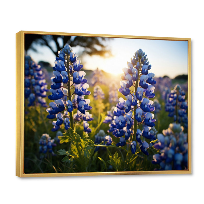 «Blue Bonnets Field Photo IV», reproduction d'art sur toile, H 34 po x l 44 po x P 1,5 po, Cadre flottant doré