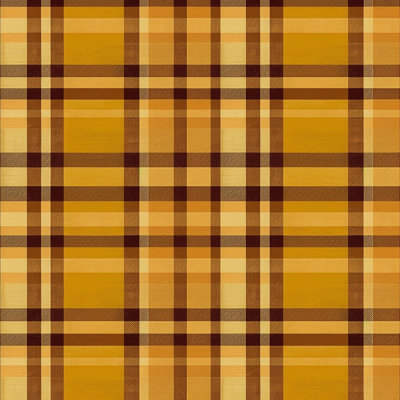 Plaid Comforter