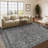 Goudeau Vintage Area Rugs For Living Room With Non-Slip Backing-1261370410