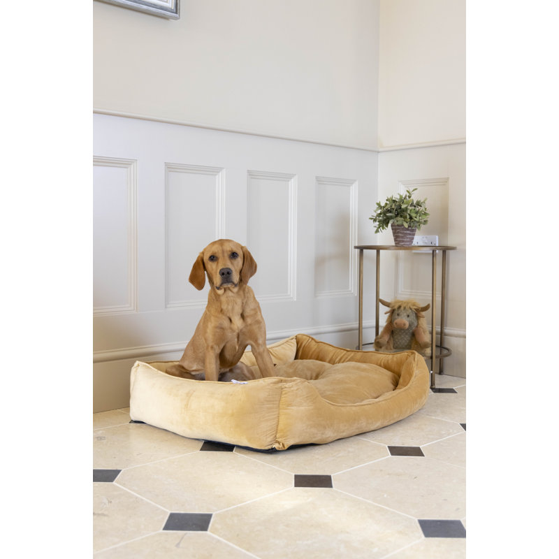 Herrera Polyester Pet Bed, Small (50cm W x 45cm D x 20cm H), Mustard