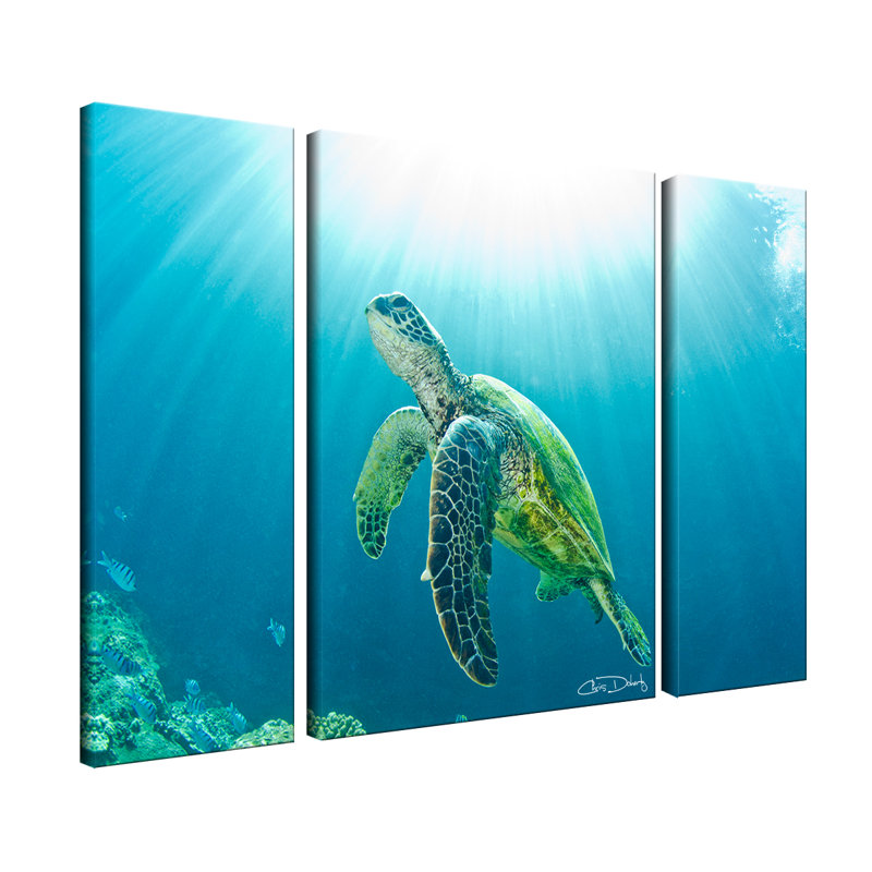 « sea turtle », art sur toile (lot de 3)