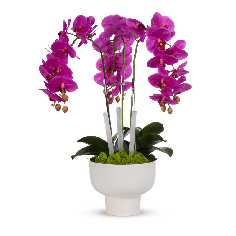 FUCHSIA ORCHIDS IN WHITE CERAMIC W SELINITE STICKS, Pink