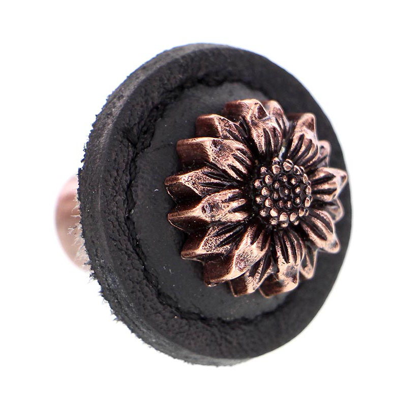 Poignée champignon 1 1/4 po Carlotta, Noir, Cuivre antique