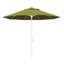 Parasol 9" Market-87585754-99279717