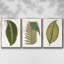 Collection de feuilles I - ensemble de 3 reproductions de photos sur toile-97754138-97754139