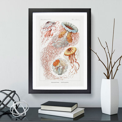 Discomedusae Jellyfish Vol.1 by Ernst Haeckel - Framed Print