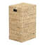 Paniers de jacinthes Glenbrook