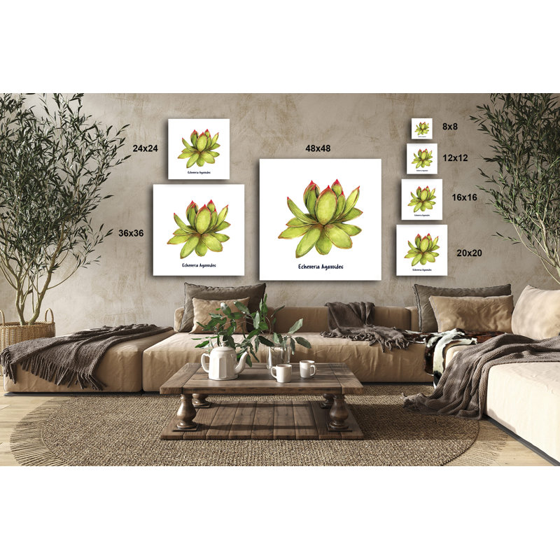 Echeveria Laui I - impression sur toile tendue, H 12 po x l 12 po x P 1,5 po