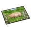 Tapis d'extérieur antidérapant Pig In Dasies-16653463