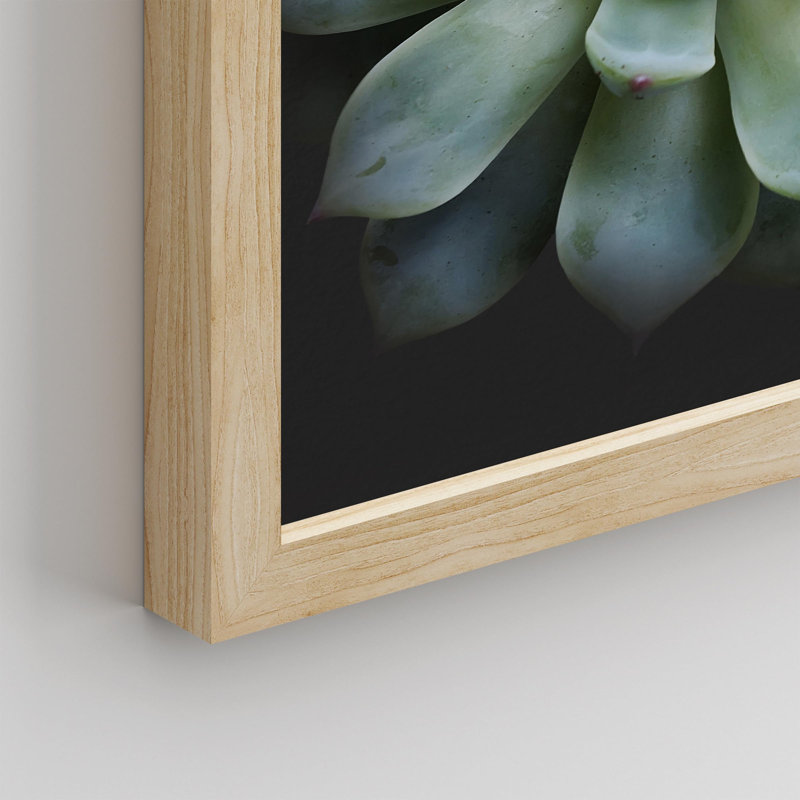 «Desert Succulent Close Up Blue and Green Lily Pad» sur papier, Naturel, H 14 po x l 11 po