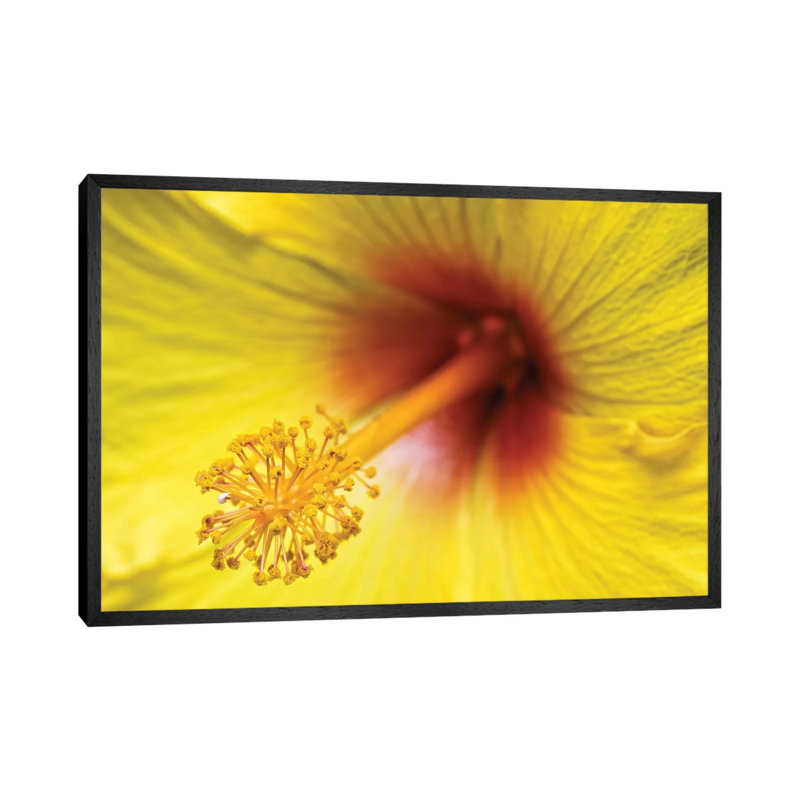 Flower II by Glauco Meneghelli - Gallery-Wrapped Canvas Giclée on Canvas, 66.04 cm H x 45.72 cm W x 4.445 cm D