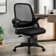 Nahjee Space-Saving Ergonomic Home Office Task Chair with Filp-Up Armrests