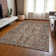 Myda Washable Oriental Indoor / Outdoor Rug