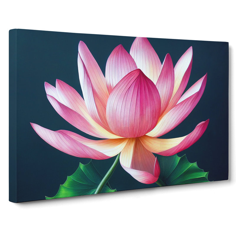 Fanciful Lotus - Wrapped Canvas Print, 35cm H x 50cm W x 3cm D