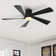 Teulon 52'' Modern Large Dimmable Ceiling Fan with LED Lights and Remote Control